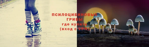 СК Михайловск