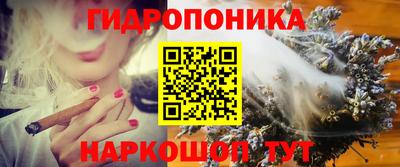 ECSTASY Кинель