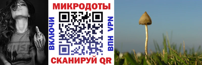 hydra зеркало  Улан-Удэ  Галлюциногенные грибы Psilocybe  магазин  наркотиков 