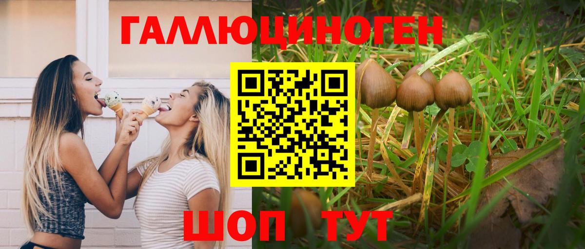 Галлюциногенные грибы прущие грибы  Вход с VPN  Улан-Удэ 