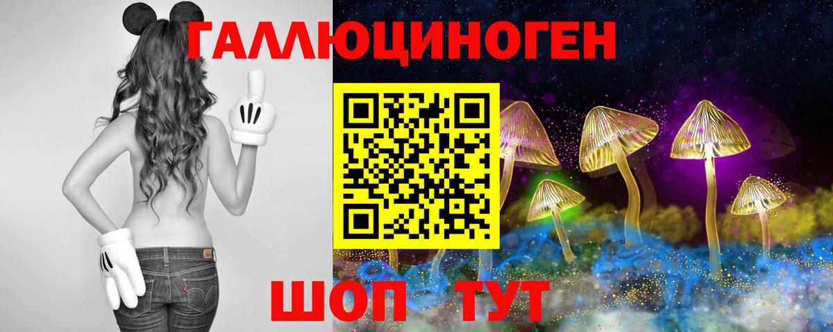Галлюциногенные грибы мухоморы Улан-Удэ